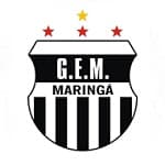 TEAM #13961 logo