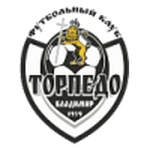 TEAM #13989 logo
