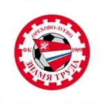 TEAM #13991 logo