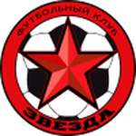 TEAM #13993 logo