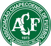TEAM #14081 logo
