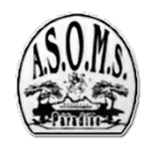 TEAM #14528 logo
