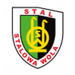 TEAM #15256 logo