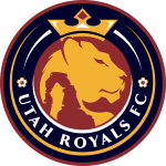 TEAM #15271 logo