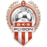 TEAM #15349 logo