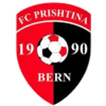 TEAM #15993 logo