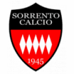 TEAM #16131 logo