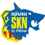 TEAM #16163 logo