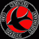 TEAM #16308 logo