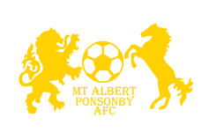 TEAM #16312 logo