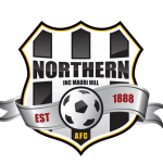 TEAM #16317 logo