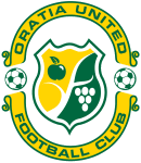TEAM #16323 logo