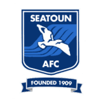 TEAM #16339 logo