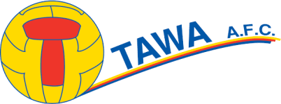 TEAM #16346 logo
