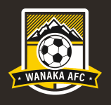 TEAM #16363 logo