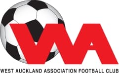TEAM #16365 logo