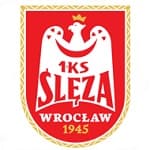 TEAM #16376 logo