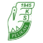 TEAM #16407 logo