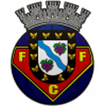 TEAM #16411 logo