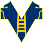 TEAM #16463 logo