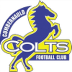 TEAM #16484 logo