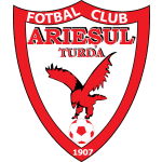 TEAM #16531 logo