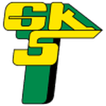 TEAM #16663 logo