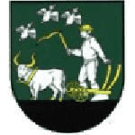 TEAM #16785 logo
