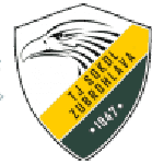 TEAM #16863 logo