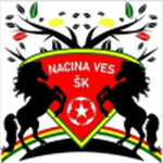 TEAM #16880 logo