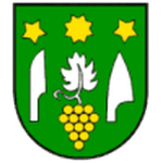 TEAM #16896 logo