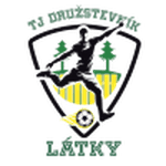 TEAM #16911 logo