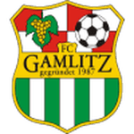 TEAM #17011 logo