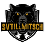 TEAM #17013 logo