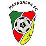TEAM #17126 logo