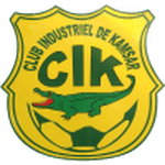 TEAM #17163 logo