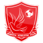 TEAM #17166 logo