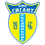 TEAM #17233 logo