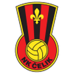 TEAM #17339 logo