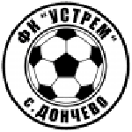 TEAM #17381 logo