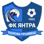 TEAM #17429 logo