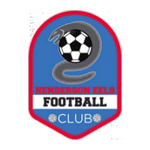 TEAM #17447 logo