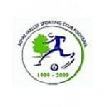 TEAM #17485 logo