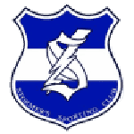 TEAM #17593 logo