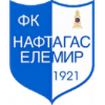TEAM #17676 logo