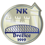 TEAM #17714 logo