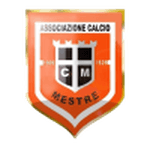 TEAM #17947 logo