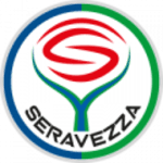 TEAM #17967 logo