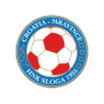 TEAM #18396 logo