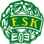 TEAM #18653 logo